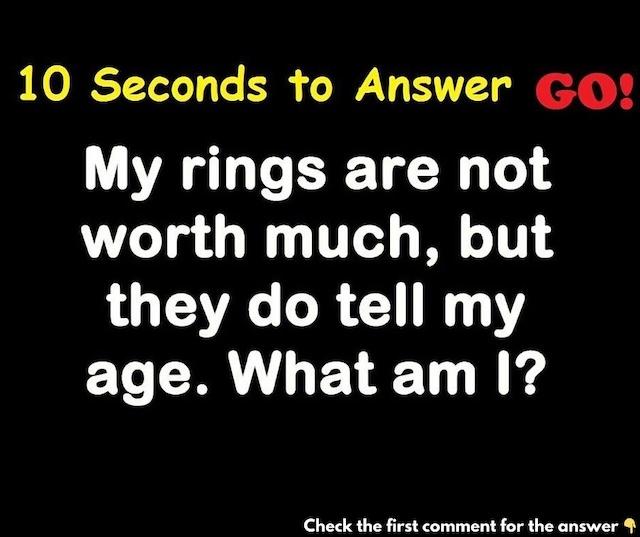 My rings are not worth much, but they do tell my age. Can you guess what I am? Think fast—time’s ticking!